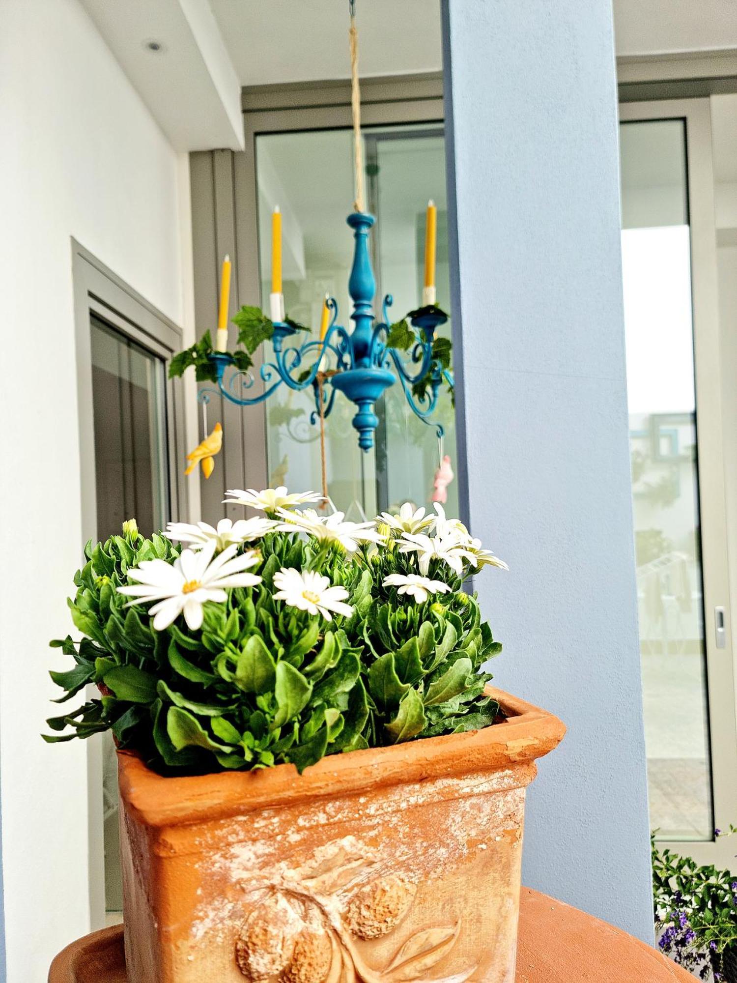 Golden House Hotell Porto Torres Exteriör bild